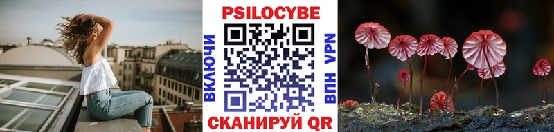 hydra ссылки  Калтан  Галлюциногенные грибы Psilocybe  наркотики 